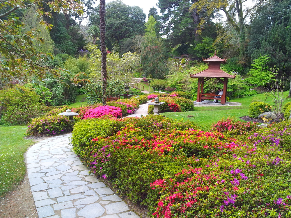 Dagstur til Wicklow og Powerscourt Gardens